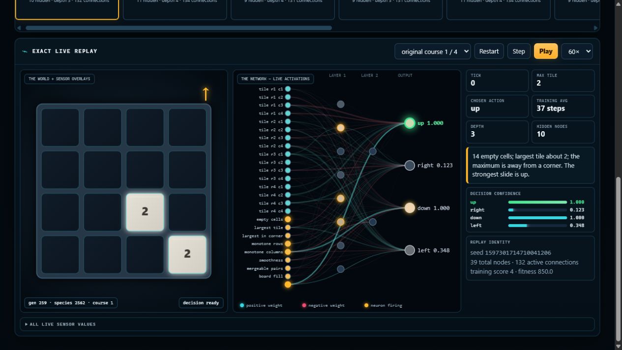2048 board with network output panel