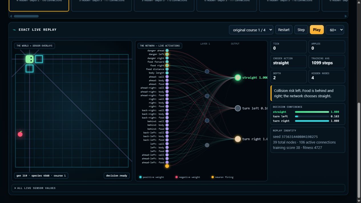 Evolved Snake agent with sensor rays displayed